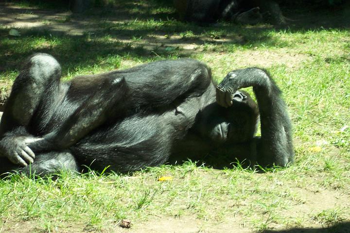 ab 058.jpg